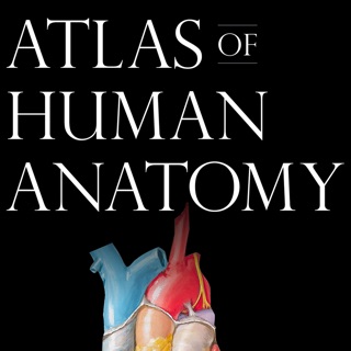 Netter Atlas Of Human Anatomy For Ipad Free Download